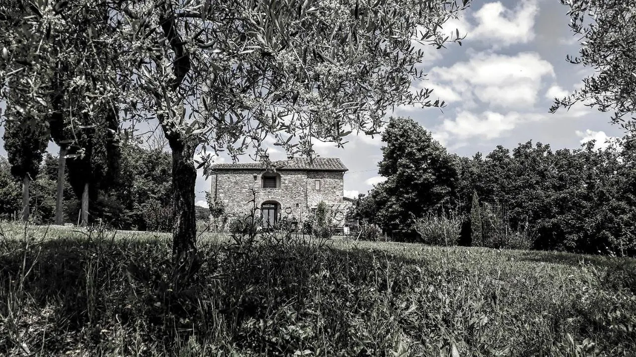 Country house Podere Pievina Bed & Breakfast Sinalunga Italy